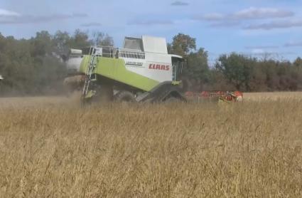 La Junta se adhiere a la reivindicaciones que el sector arrocero extremeño ha trasladado al ministro de Agricult