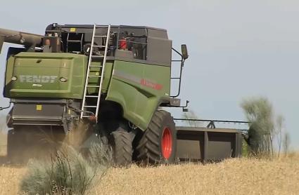 Recogida del cereal en Extremadura