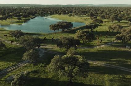 Ecologistas en Acción rechaza la recalificación de 18.000 hectáreas para un residencial de lujo en Campo Arañuelo