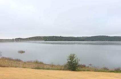 La CHG trata de erradicar la especie invasora Pseudorasbora parva, que representa el 95% de la población del embalse de Alcollarín