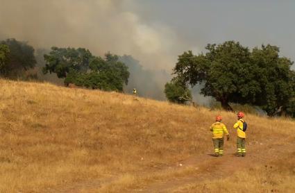 Decae el confinamiento de las casas de campo junto a la N-523 en Cáceres por el incendio de Aliseda