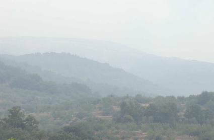 Los fuegos de Extremadura acaban con árboles centenarios y afectan a aves protegidas, según SEO/Birdlife