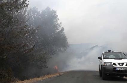 El Gobierno activado la Fase de Preemergencia del Plan Estatal ante los incendios 