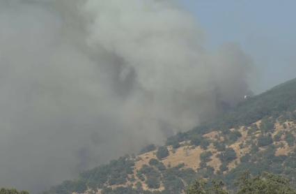 El incendio de Jarilla afecta a un perímetro de 58 kilómetros y ha quemado 4.500 hectáreas