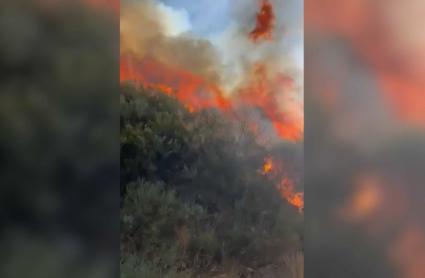 El incendio de Jarilla entra en Salamanca y se encuentra en la zona alta de Candelario