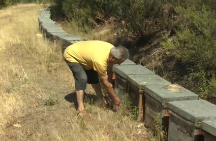 Las colmenas, las telecomunicaciones y el agua, entre los principales afectados por el incendio en Las Hurdes