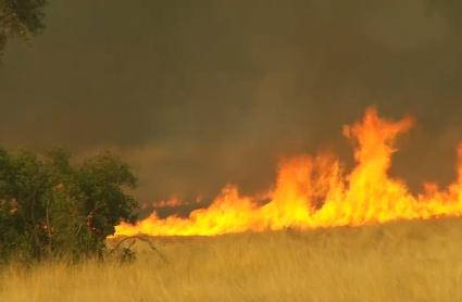 Incendio de pastos - Imagen de archivo