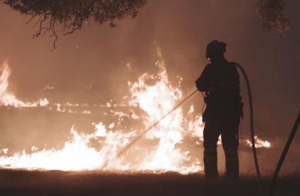 Efectivos luchando contra las llamas en los incendios forestales de Jarilla