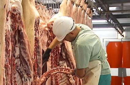 Carne de cerdo fresca