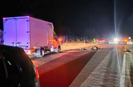 Caballo que provocó el accidente en la carretera de Olivenza