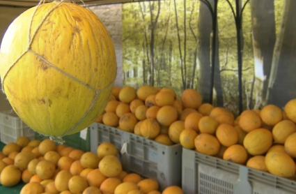 Melones en la Feria del Melón de La Albuera