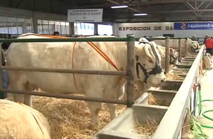 Suspendida la Feria Agroganadera de Trujillo