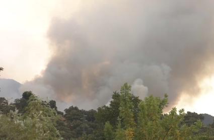 Disconformidad por las ayudas tras los incendios