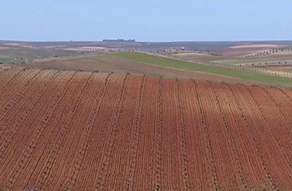 Tierra de Barros