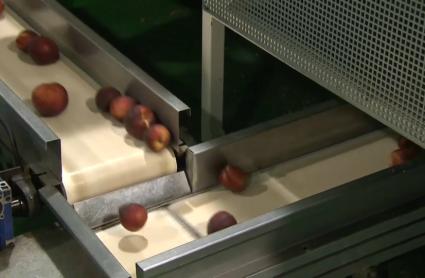 Extremadura apuesta por el comercio exterior