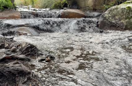 Gargantilla y Villar de Plasencia son dos de los municipios afectados por el incendio de Jarilla, que en agosto devastó más de 16.000 hectáreas
