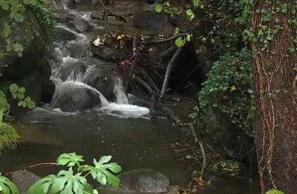 Otoño mágico en el Valle del Ambroz - Imagen de archivo.