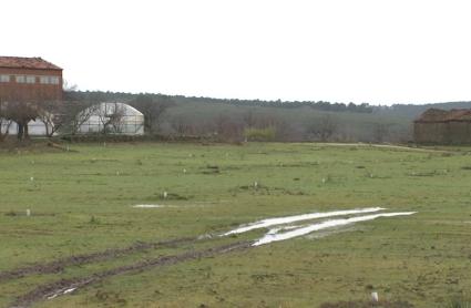 Explotación de la comarca de La Vera, en Extremadura, en enero de 2026