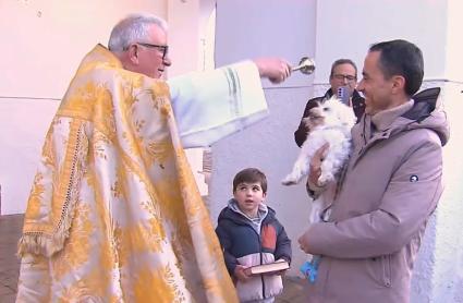 Bendición de animales el día de San Antón, en Ribera del Fresno