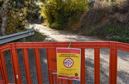 Zona de contención de la peste porcina africana. 