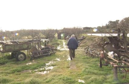 Estado de una finca en Extremadura tras el paso de las últimas borrascas en 2026