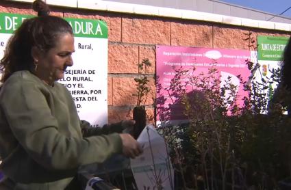 Fiesta del árbol de Villanueva de la Sierra. 