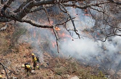 Bomberos trabajando en la extinción del incendio forestal de Losar de la Vera