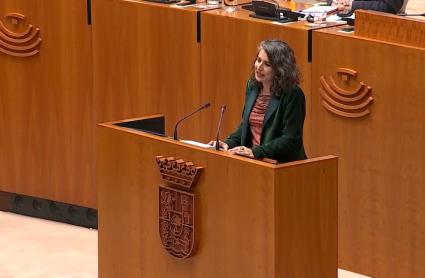 Irene de Miguel, portavoz de Unidas por Extremadura en la Asamblea. 