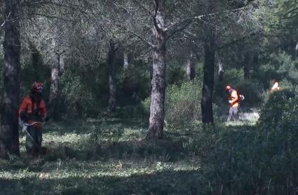 Técnicos del Plan Infoex realizando labores de prevención de incendios