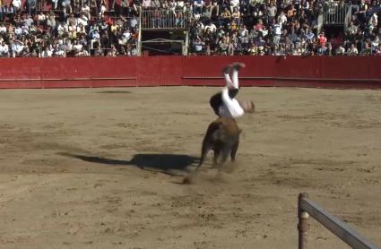Saltos de recortadores en Coria