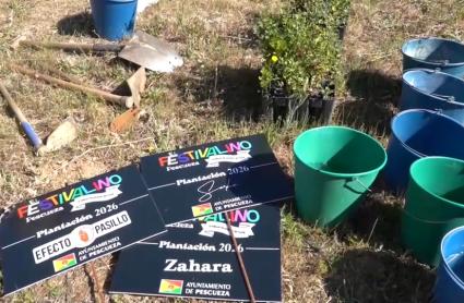 Plantación de árboles en Pescueza tras el Festivalino
