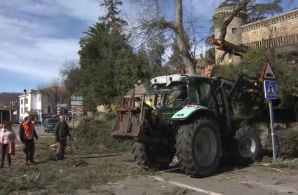 Daños provocados por las borrascas de principios de 2026