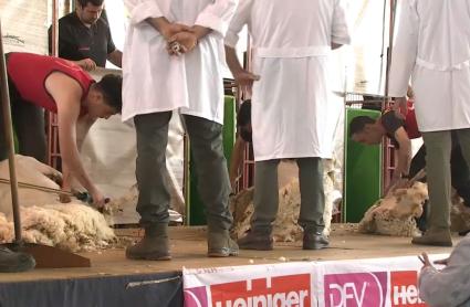 Open de Esquileo celebrado en Castuera