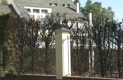 Resultado de un incendio en las Vaguadas en Badajoz