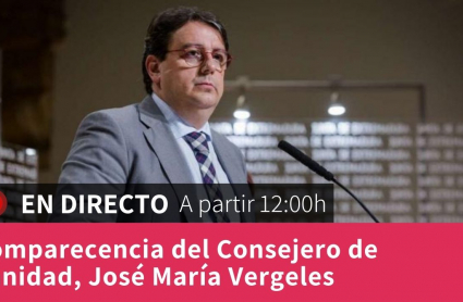 Comparecencia de José María Vergeles