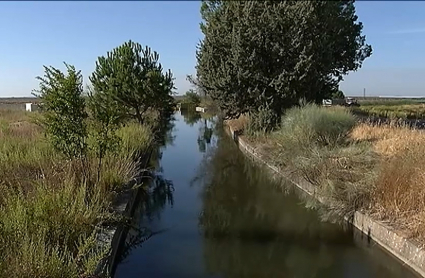 Aparece un hombre ahogado en el canal de Orellana