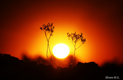 Olas de calor en Extremadura