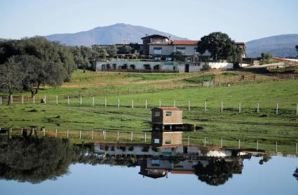 Paisaje de dehesa en la Sierra de Gata