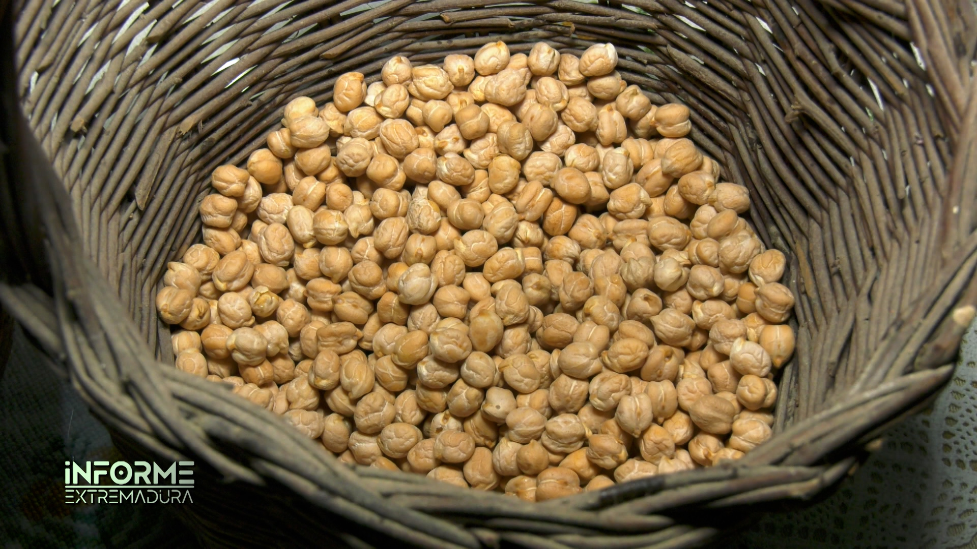 El Garbanzo de Valencia del Ventoso cada vez más cerca de conseguir la