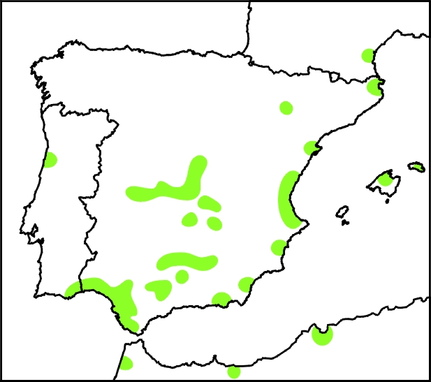 mapa calamon