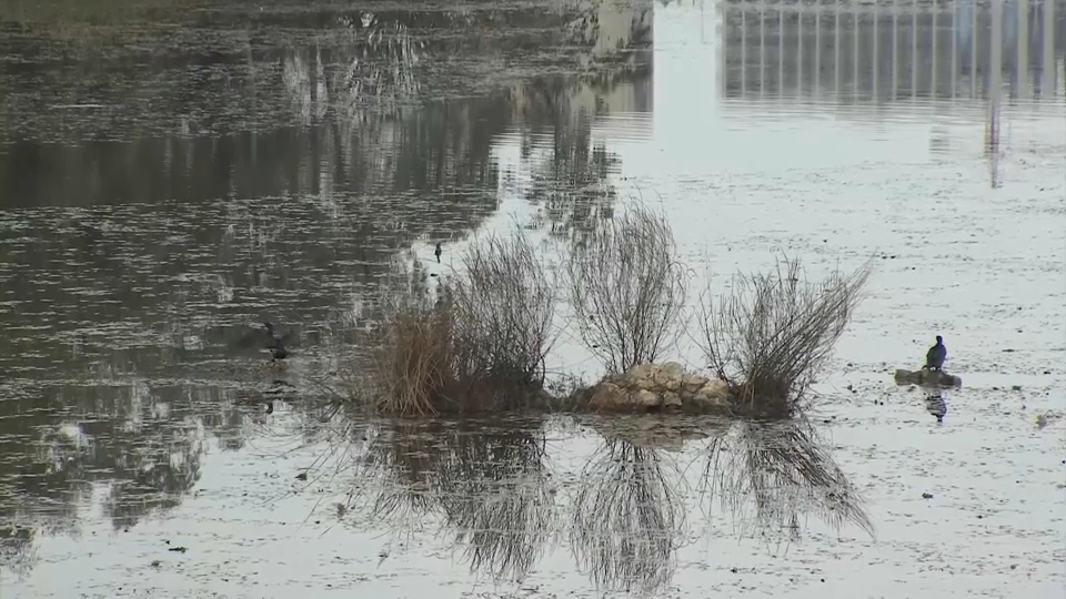 Badajoz decreta el Plan de Emergencias Municipal a Situación 1 y ordena el cierre del parque del río