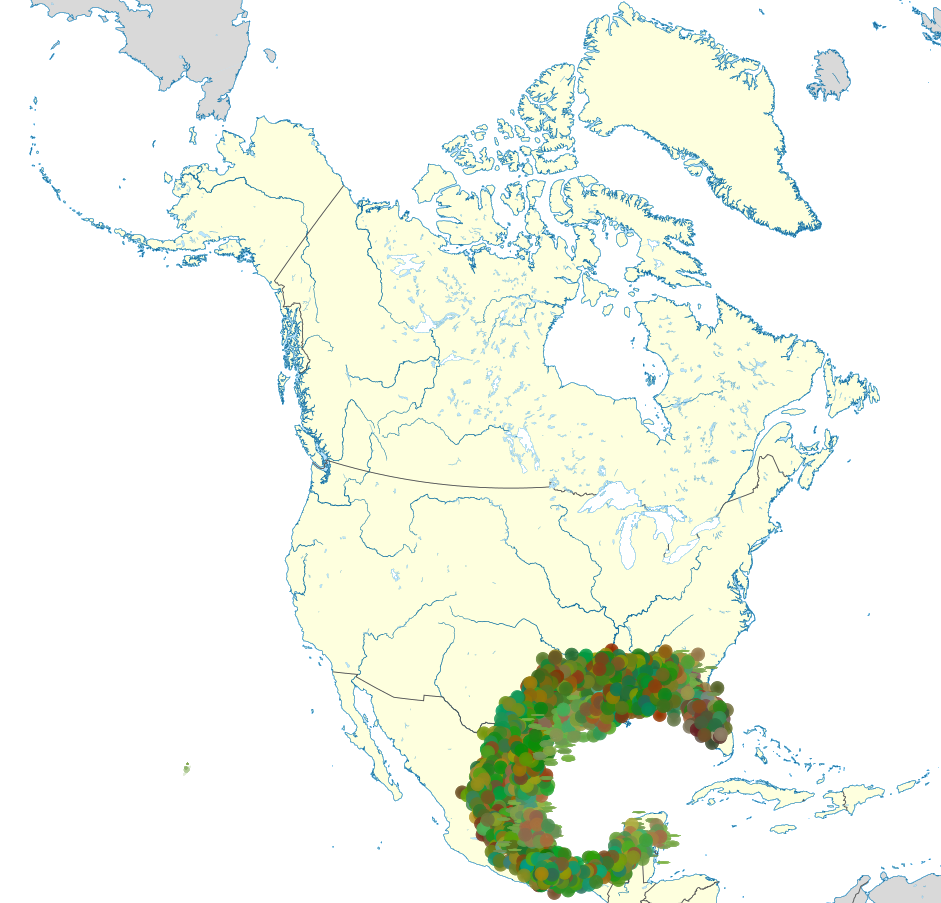 Distribución área natural de Tortuga de Florida