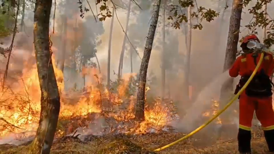 bombero forestal