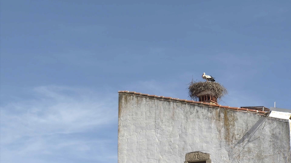 Malpartida de Cáceres rinde tributo a las aves de nuestros cielos