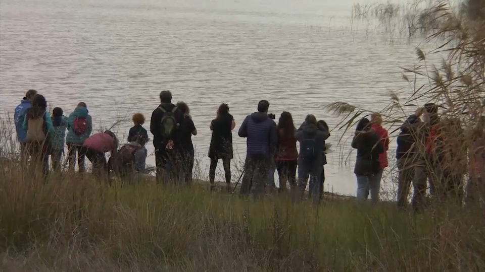 Observación de grullas en Los Canchales