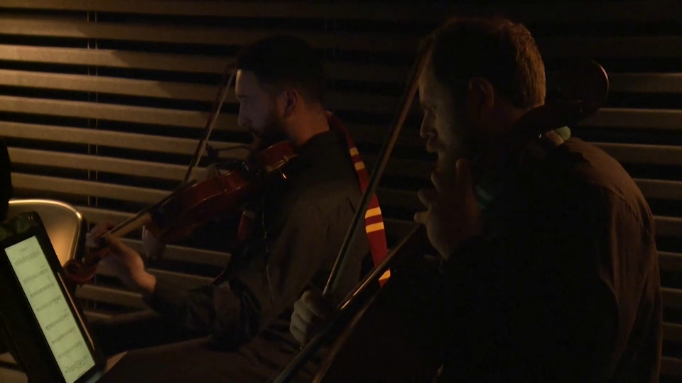 Busker String Quartet