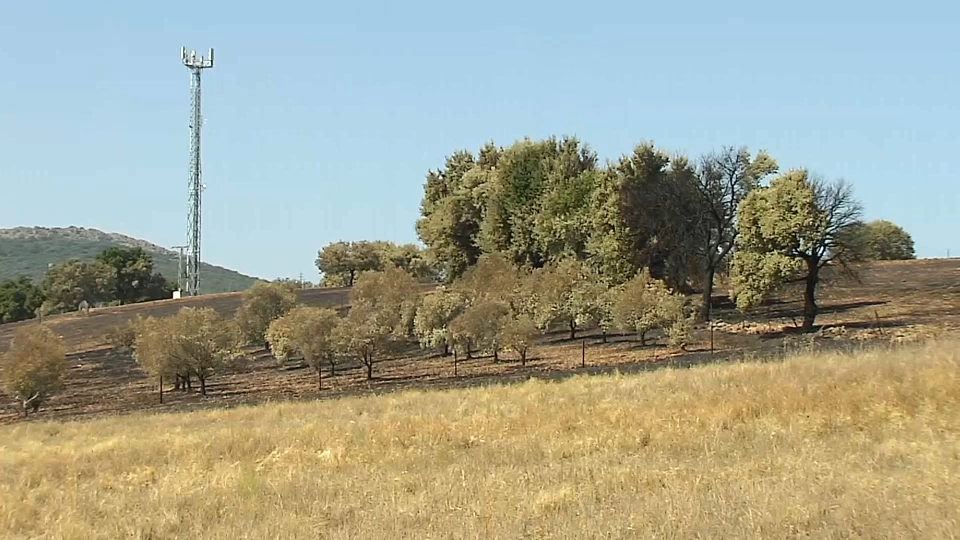 Investigado un vecino de Valdecaballeros por su presunta implicación en cinco incendios forestales