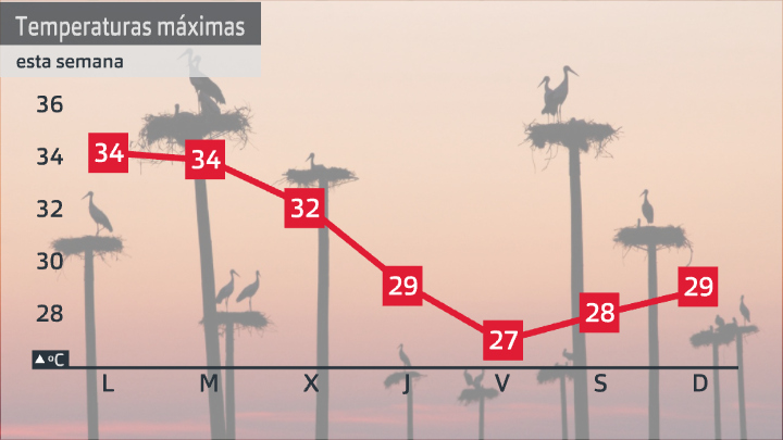 Previsión de temperatura máxima próximos 7 días