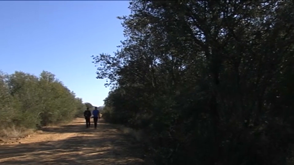 Una ruta por la comarca de La Serena dará a conocer la transhumancia este fin de semana