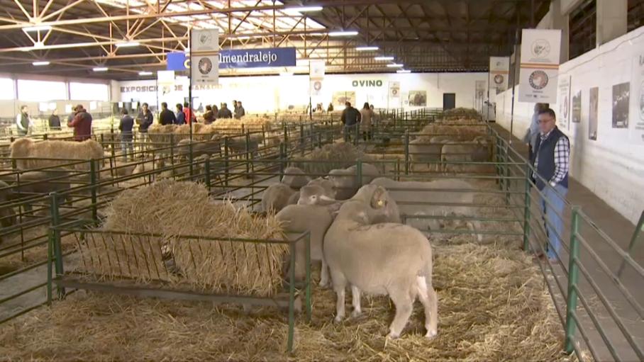 Feria Agroganadera de Trujillo